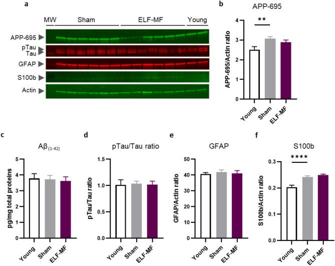 https://cdn.ncbi.nlm.nih.gov/pmc/blobs/3f56/11897315/8d07232f21f0/41598_2025_93230_Fig6_HTML.jpg