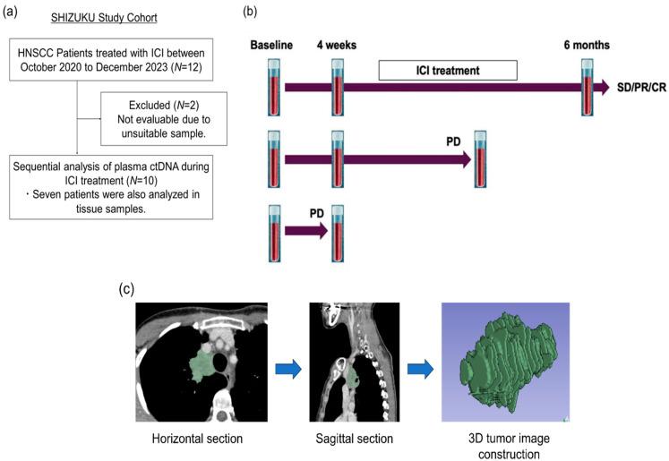 https://cdn.ncbi.nlm.nih.gov/pmc/blobs/3f58/11719933/fa429b7cb1c9/ijms-26-00235-g004.jpg