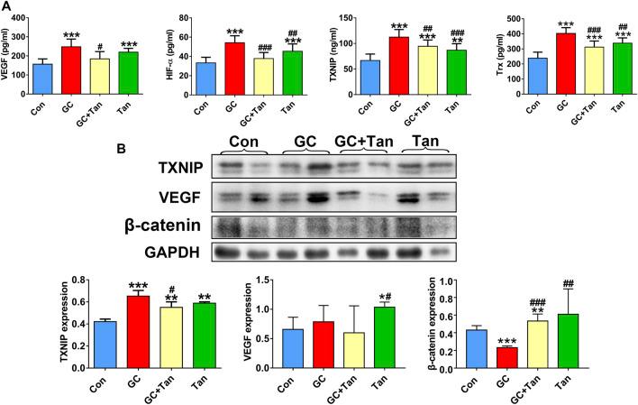 https://cdn.ncbi.nlm.nih.gov/pmc/blobs/3f58/8316650/cd005e3745a1/fphar-12-722175-g006.jpg