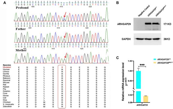https://cdn.ncbi.nlm.nih.gov/pmc/blobs/3f5c/9428125/5bcb6f6fc7df/fgene-13-947126-g002.jpg