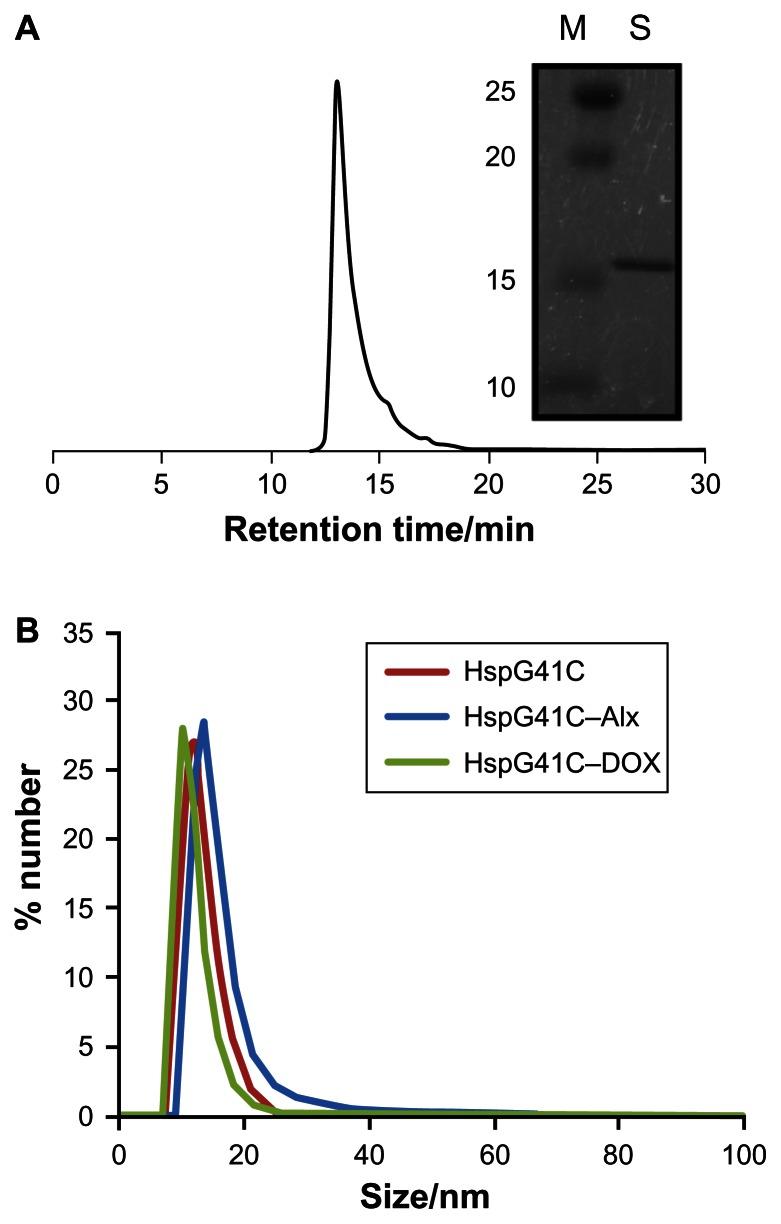 https://cdn.ncbi.nlm.nih.gov/pmc/blobs/3f5d/3662465/625ff2961cd7/ijn-8-1989f1.jpg