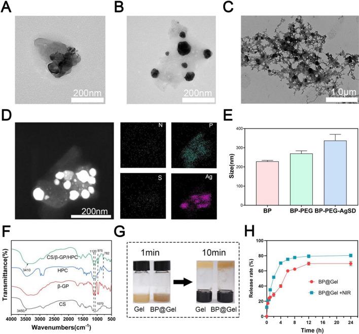 https://cdn.ncbi.nlm.nih.gov/pmc/blobs/3f5e/10503145/1b664c879063/12951_2023_2054_Fig2_HTML.jpg