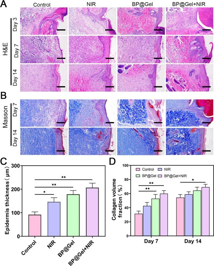 https://cdn.ncbi.nlm.nih.gov/pmc/blobs/3f5e/10503145/63ca74c96f5d/12951_2023_2054_Fig6_HTML.jpg