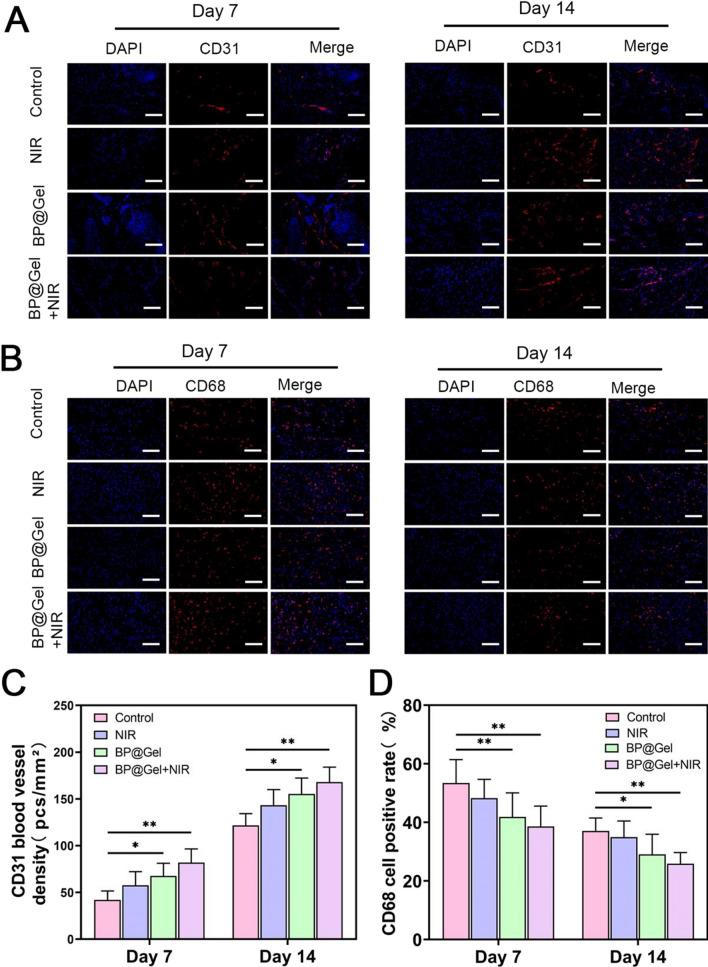 https://cdn.ncbi.nlm.nih.gov/pmc/blobs/3f5e/10503145/7381eeb3e3a1/12951_2023_2054_Fig8_HTML.jpg