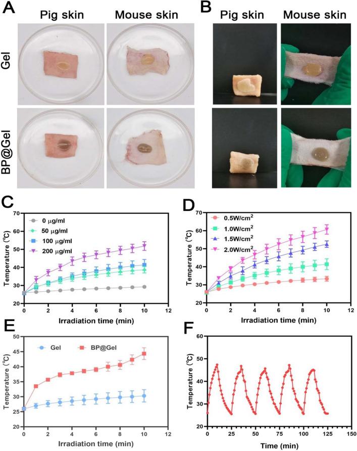 https://cdn.ncbi.nlm.nih.gov/pmc/blobs/3f5e/10503145/9bff33e23800/12951_2023_2054_Fig3_HTML.jpg
