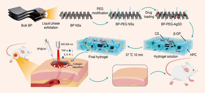 https://cdn.ncbi.nlm.nih.gov/pmc/blobs/3f5e/10503145/d00e3ada7e98/12951_2023_2054_Fig1_HTML.jpg