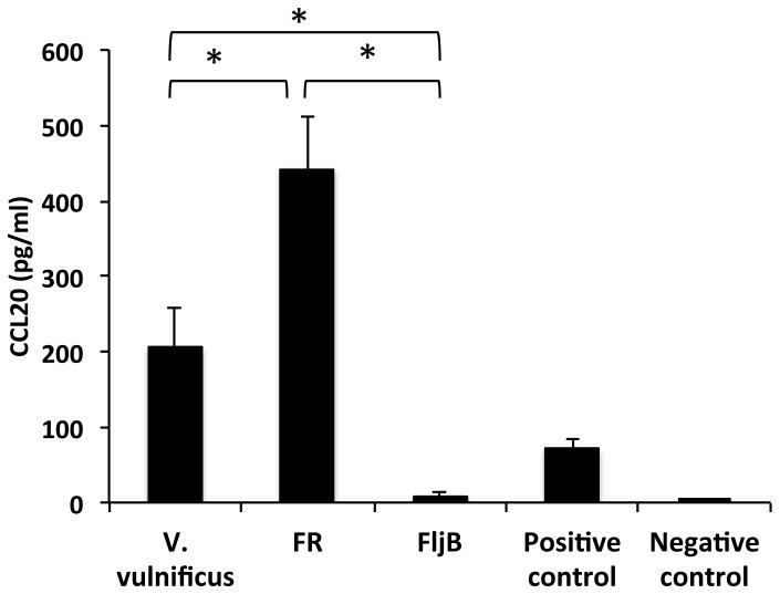 https://cdn.ncbi.nlm.nih.gov/pmc/blobs/3f5f/3498291/8b81b3f3b628/pone.0048466.g007.jpg