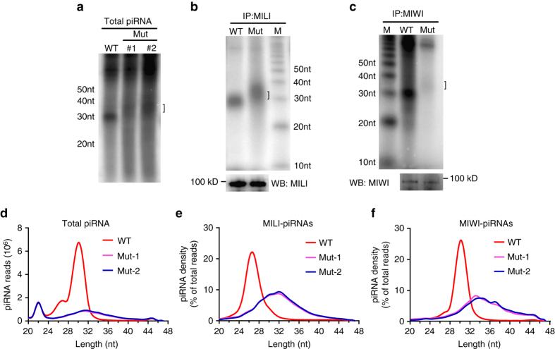 https://cdn.ncbi.nlm.nih.gov/pmc/blobs/3f5f/5635004/d70526bfa1c2/41467_2017_854_Fig4_HTML.jpg