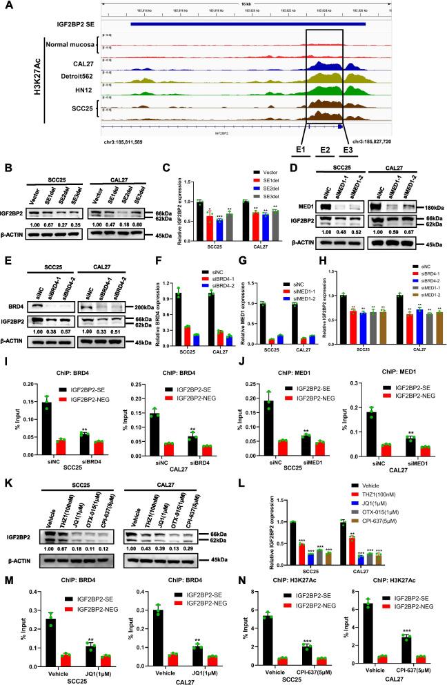 https://cdn.ncbi.nlm.nih.gov/pmc/blobs/3f62/10913600/0ce5ff443a6d/13046_2024_2996_Fig4_HTML.jpg
