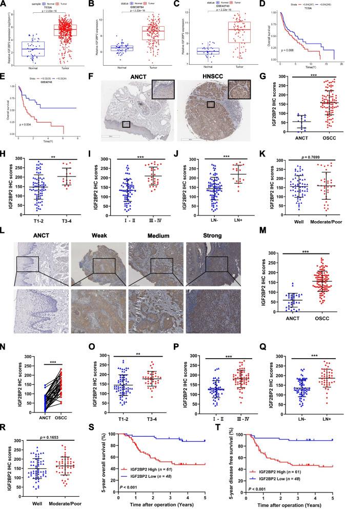 https://cdn.ncbi.nlm.nih.gov/pmc/blobs/3f62/10913600/7a4e12a00fdd/13046_2024_2996_Fig2_HTML.jpg