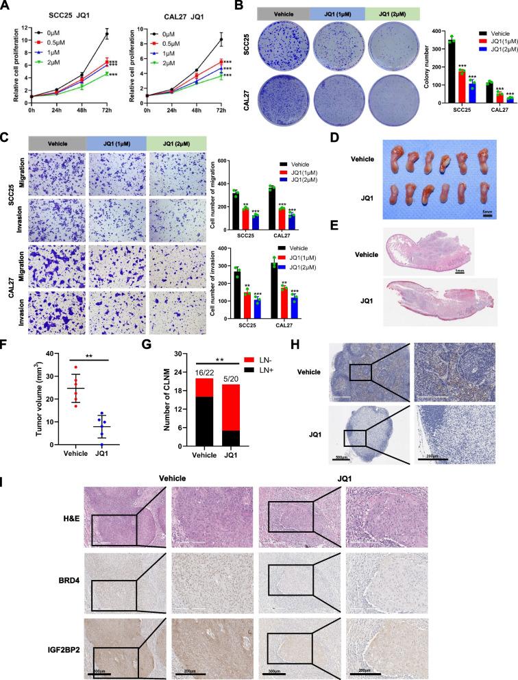 https://cdn.ncbi.nlm.nih.gov/pmc/blobs/3f62/10913600/7d37c32136a1/13046_2024_2996_Fig5_HTML.jpg