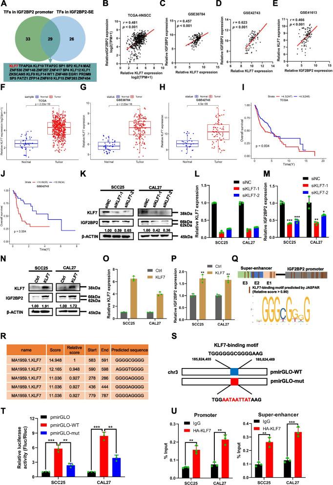https://cdn.ncbi.nlm.nih.gov/pmc/blobs/3f62/10913600/bf0116ea3f11/13046_2024_2996_Fig6_HTML.jpg