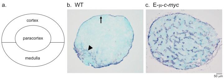 https://cdn.ncbi.nlm.nih.gov/pmc/blobs/3f65/5612184/195046580d70/yjbm_90_3_403_g01.jpg