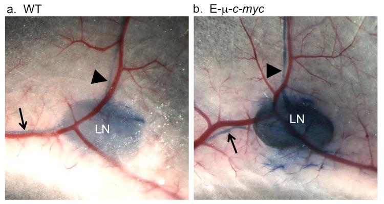 https://cdn.ncbi.nlm.nih.gov/pmc/blobs/3f65/5612184/5fd15c0204e6/yjbm_90_3_403_g04.jpg