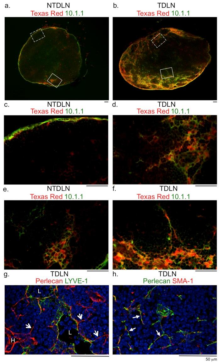 https://cdn.ncbi.nlm.nih.gov/pmc/blobs/3f65/5612184/637eead85b6b/yjbm_90_3_403_g02.jpg