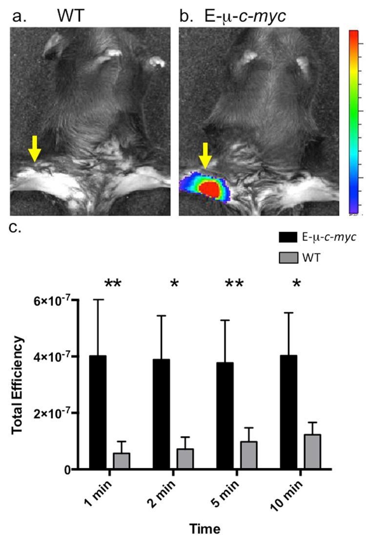 https://cdn.ncbi.nlm.nih.gov/pmc/blobs/3f65/5612184/f364142a979a/yjbm_90_3_403_g03.jpg