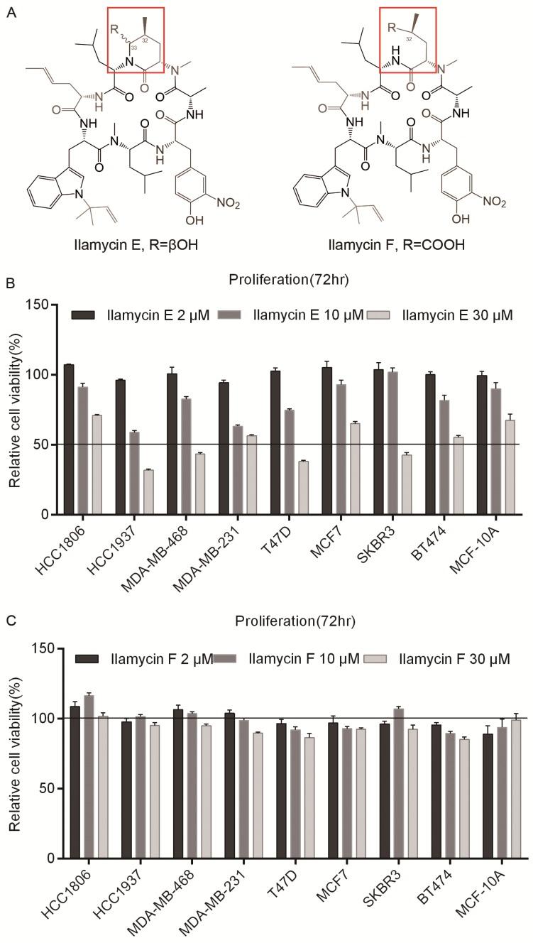 https://cdn.ncbi.nlm.nih.gov/pmc/blobs/3f65/6643221/3f0724065c06/ijbsv15p1723g001.jpg