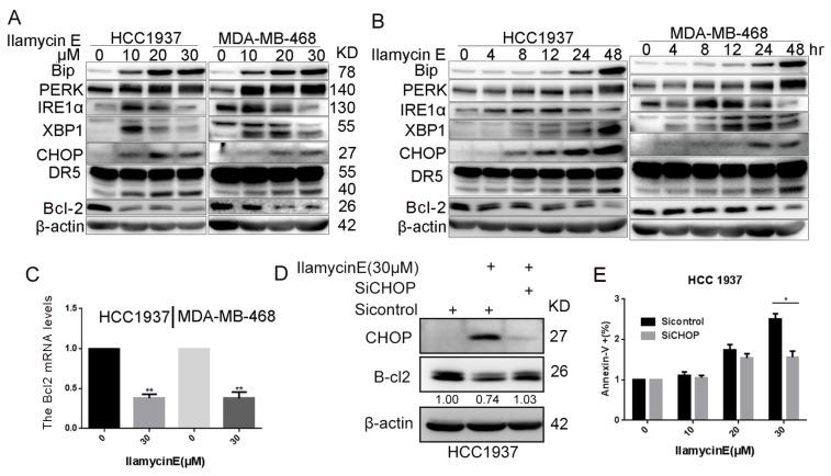https://cdn.ncbi.nlm.nih.gov/pmc/blobs/3f65/6643221/8ac007063b57/ijbsv15p1723g006.jpg