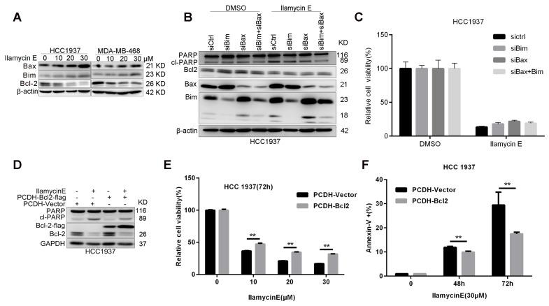 https://cdn.ncbi.nlm.nih.gov/pmc/blobs/3f65/6643221/da5a79495481/ijbsv15p1723g005.jpg