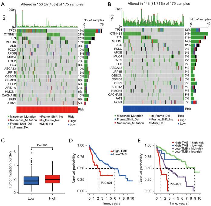 https://cdn.ncbi.nlm.nih.gov/pmc/blobs/3f66/11651828/308fed2a30f1/tcr-13-11-5856-f9.jpg