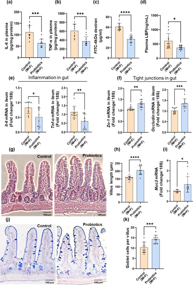 https://cdn.ncbi.nlm.nih.gov/pmc/blobs/3f66/11724051/2ffc593e893a/41598_2024_84780_Fig3_HTML.jpg
