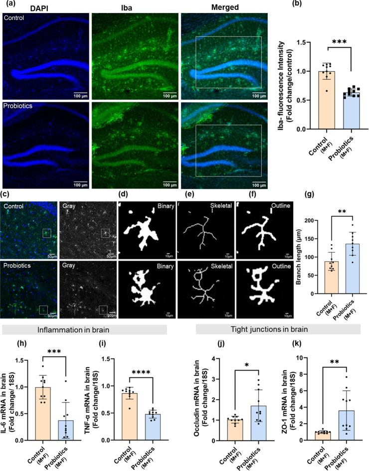 https://cdn.ncbi.nlm.nih.gov/pmc/blobs/3f66/11724051/5774b993c114/41598_2024_84780_Fig2_HTML.jpg