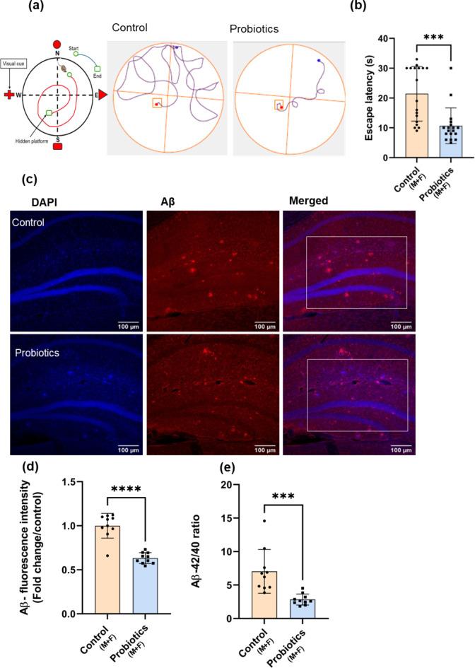 https://cdn.ncbi.nlm.nih.gov/pmc/blobs/3f66/11724051/8cecc19545c3/41598_2024_84780_Fig1_HTML.jpg