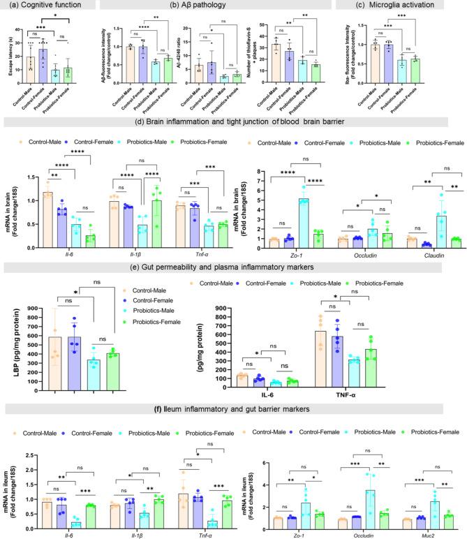 https://cdn.ncbi.nlm.nih.gov/pmc/blobs/3f66/11724051/b757acb6733b/41598_2024_84780_Fig5_HTML.jpg