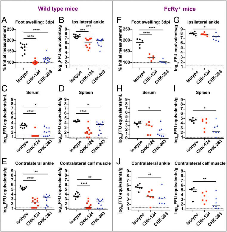 https://cdn.ncbi.nlm.nih.gov/pmc/blobs/3f66/7959576/597379b4f1cb/pnas.2008051117fig01.jpg
