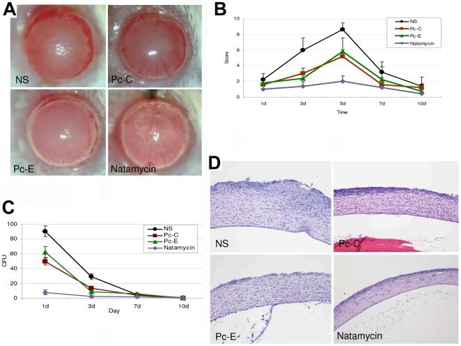 https://cdn.ncbi.nlm.nih.gov/pmc/blobs/3f67/3299800/895ae0f35793/pone.0033578.g006.jpg