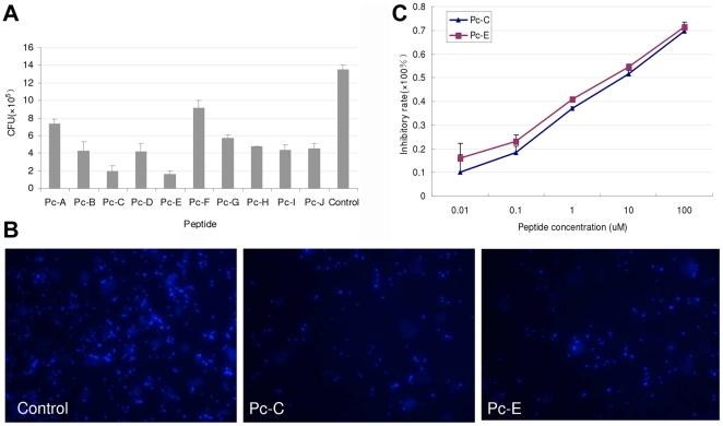 https://cdn.ncbi.nlm.nih.gov/pmc/blobs/3f67/3299800/ad8d1b824d8c/pone.0033578.g003.jpg