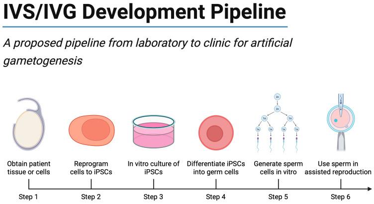 https://cdn.ncbi.nlm.nih.gov/pmc/blobs/3f68/12347267/d9b71de6fd8b/ijms-26-07383-g003.jpg