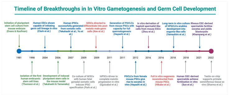https://cdn.ncbi.nlm.nih.gov/pmc/blobs/3f68/12347267/faaf81c20cda/ijms-26-07383-g002.jpg