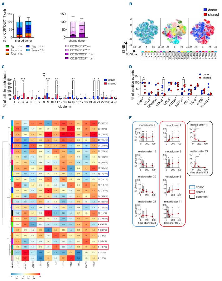 https://cdn.ncbi.nlm.nih.gov/pmc/blobs/3f6a/10230431/657cb8b26561/1081530.fig6.jpg