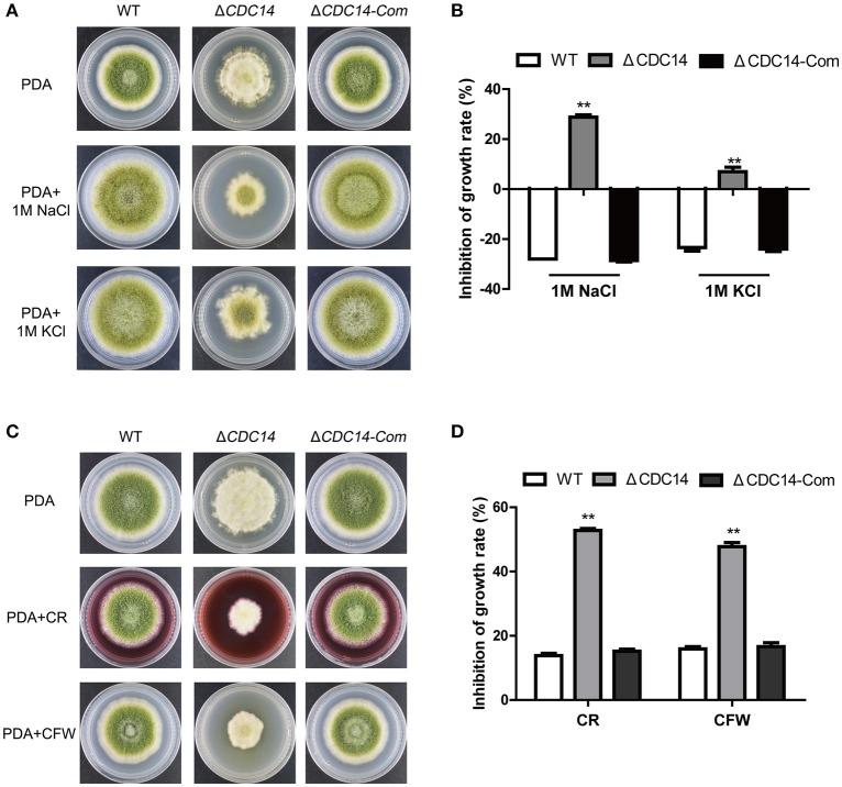 https://cdn.ncbi.nlm.nih.gov/pmc/blobs/3f6a/5950752/d285e45a0301/fcimb-08-00141-g0007.jpg