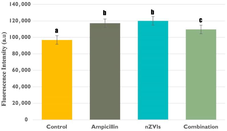 https://cdn.ncbi.nlm.nih.gov/pmc/blobs/3f6b/10975374/c1c3e4aeba4d/microorganisms-12-00612-g003.jpg
