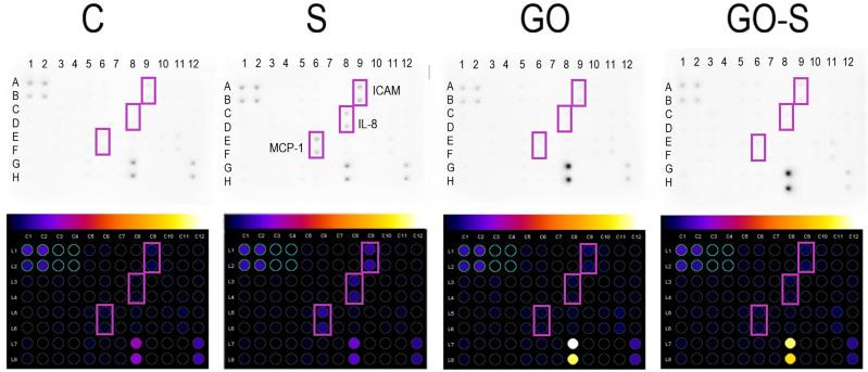 https://cdn.ncbi.nlm.nih.gov/pmc/blobs/3f6b/9869801/35697ba593aa/NSA-16-1-g0005.jpg