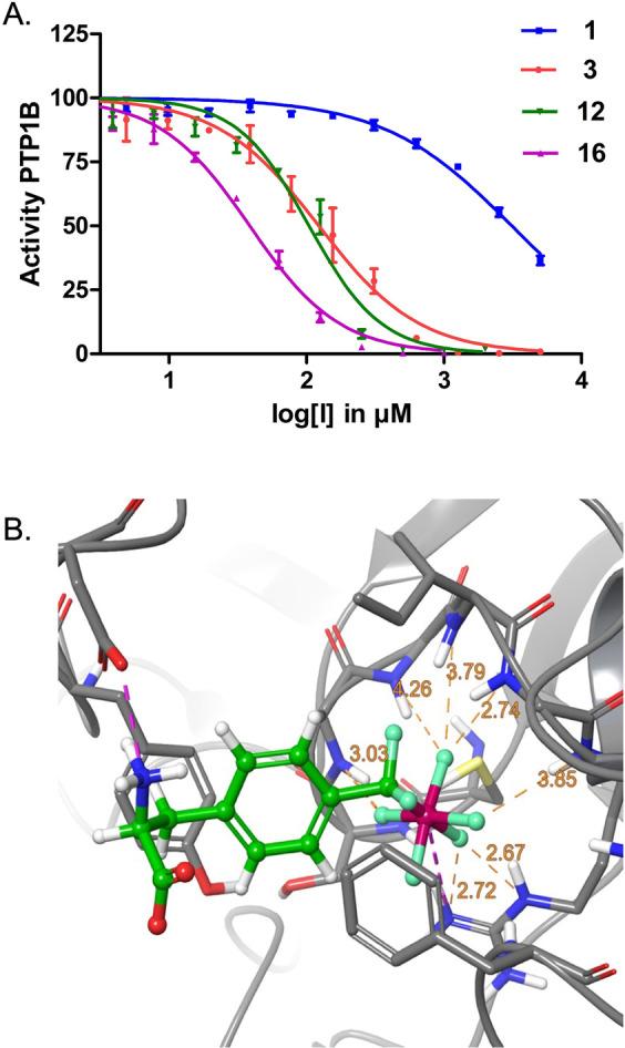 https://cdn.ncbi.nlm.nih.gov/pmc/blobs/3f6c/9323422/a53d7355c88b/ANIE-61-0-g006.jpg