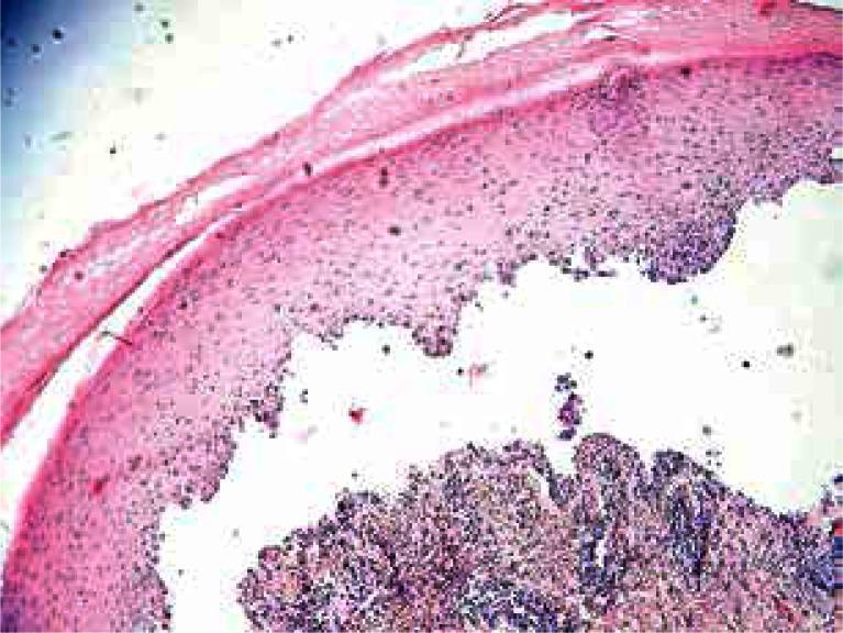 https://cdn.ncbi.nlm.nih.gov/pmc/blobs/3f6d/5110630/04b12e30620f/PDIA-33-28509-g002.jpg