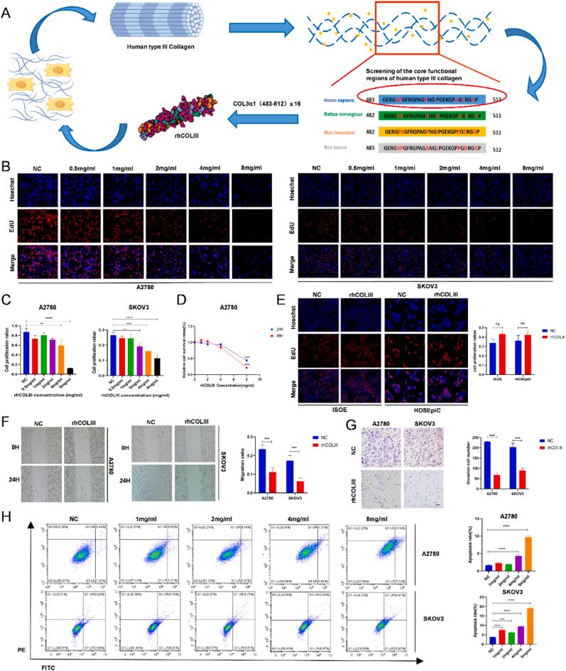 https://cdn.ncbi.nlm.nih.gov/pmc/blobs/3f6f/11405829/247452ff1b6e/gr1.jpg
