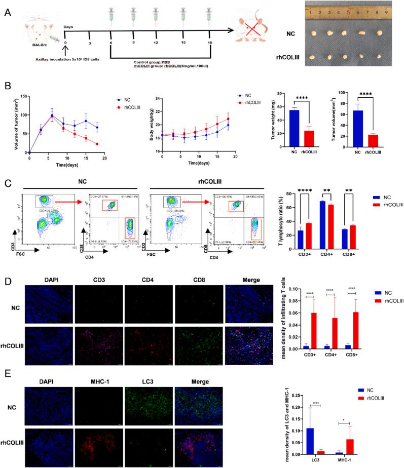 https://cdn.ncbi.nlm.nih.gov/pmc/blobs/3f6f/11405829/27a9f3b3ce3a/gr8.jpg