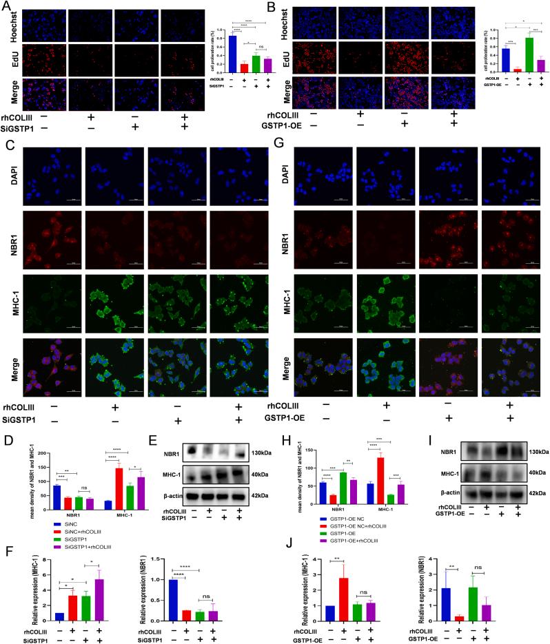 https://cdn.ncbi.nlm.nih.gov/pmc/blobs/3f6f/11405829/3a5a33789179/gr5.jpg