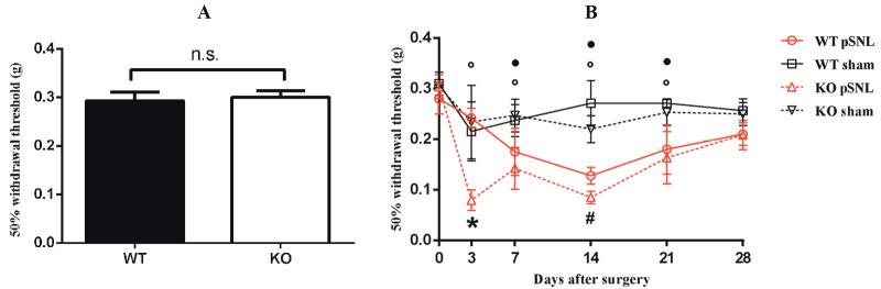 https://cdn.ncbi.nlm.nih.gov/pmc/blobs/3f6f/7350866/e39f2d023869/turkjmedsci-49-412-fig004.jpg