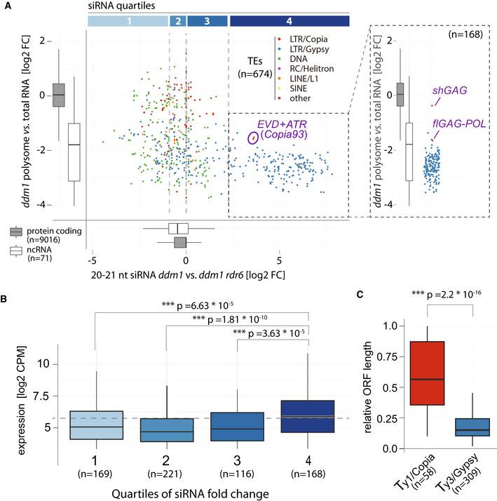 https://cdn.ncbi.nlm.nih.gov/pmc/blobs/3f71/8892269/77a39e93cd8b/EMBR-23-e53400-g001.jpg