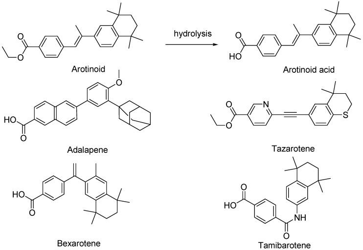 https://cdn.ncbi.nlm.nih.gov/pmc/blobs/3f72/11125266/4e762ecbbb64/pharmaceutics-16-00579-g006.jpg