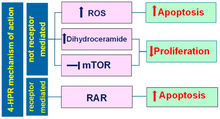 https://cdn.ncbi.nlm.nih.gov/pmc/blobs/3f72/11125266/5d0d2a5872c4/pharmaceutics-16-00579-g008.jpg