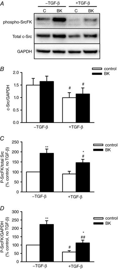 https://cdn.ncbi.nlm.nih.gov/pmc/blobs/3f73/5746525/1b9af3ed768b/TJP-596-47-g002.jpg