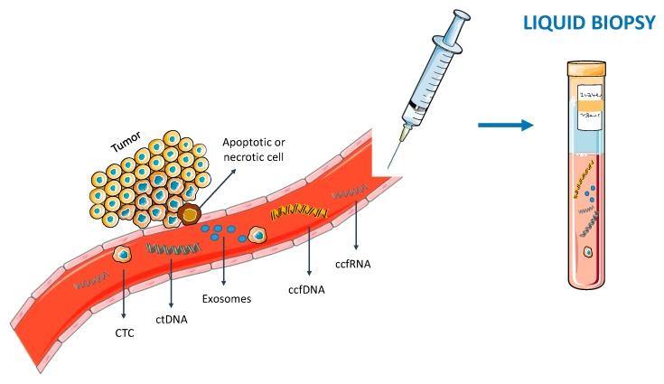 https://cdn.ncbi.nlm.nih.gov/pmc/blobs/3f76/7140532/33f2ea117880/cells-09-00624-g001.jpg
