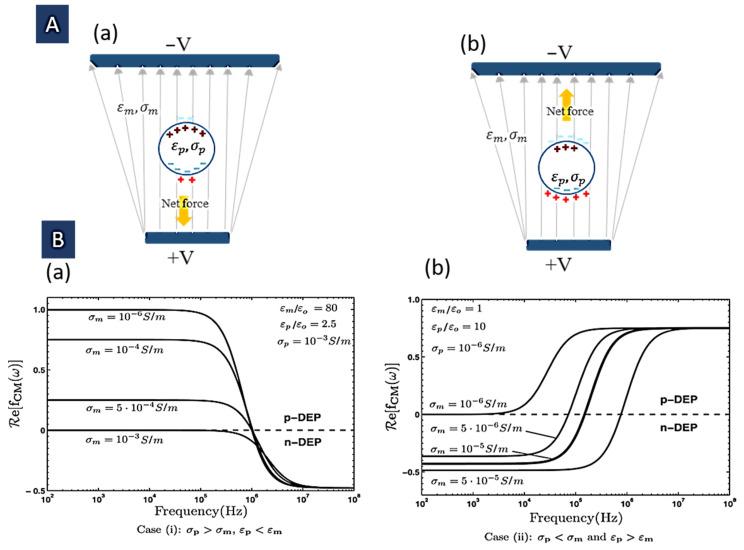https://cdn.ncbi.nlm.nih.gov/pmc/blobs/3f77/9313092/29d661a3cc19/biosensors-12-00510-g001.jpg