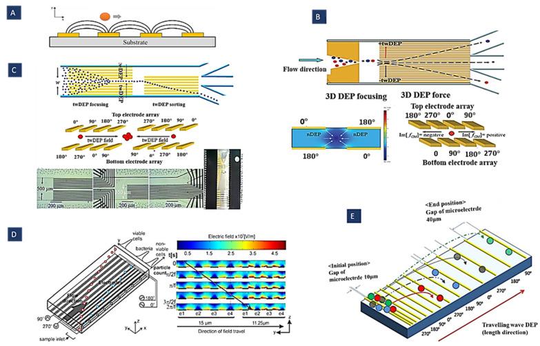 https://cdn.ncbi.nlm.nih.gov/pmc/blobs/3f77/9313092/75eb2d6e5712/biosensors-12-00510-g006.jpg